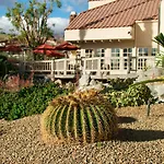 The Oasis Resort