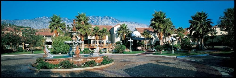 The Oasis Palm Springs
