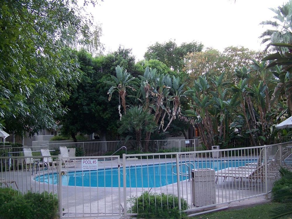 The Oasis Resort