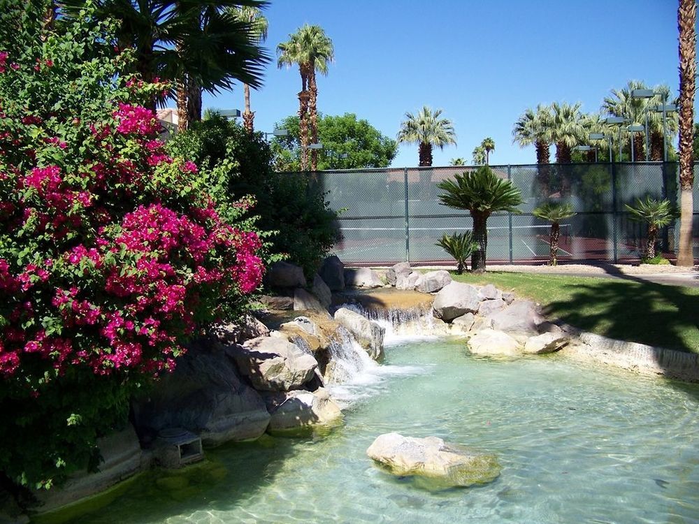 Resort The Oasis 4*