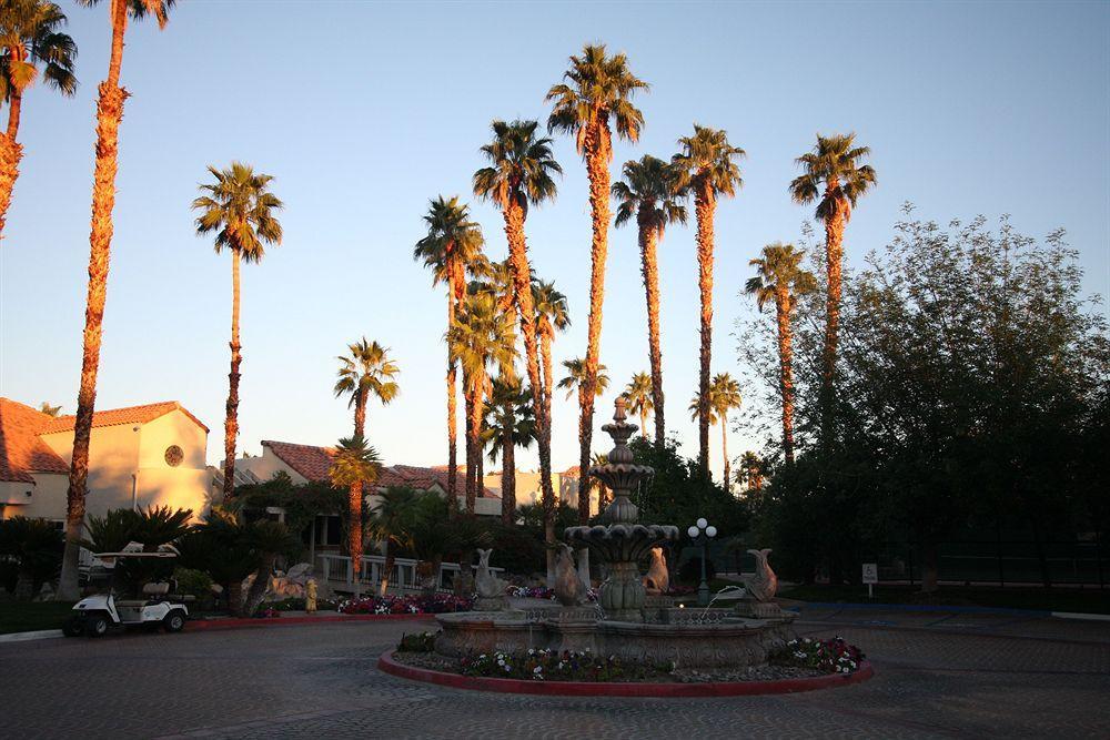 The Oasis 4*