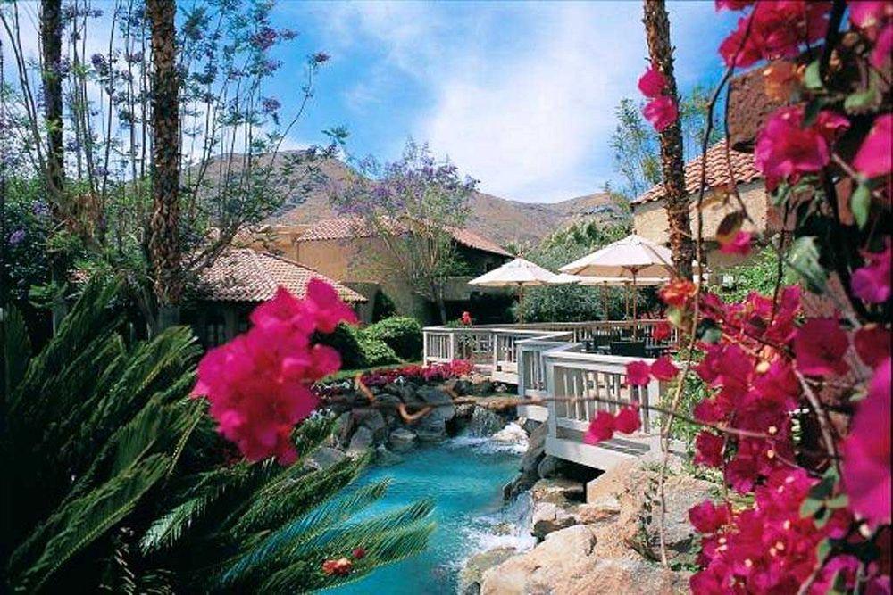 The Oasis 4*
