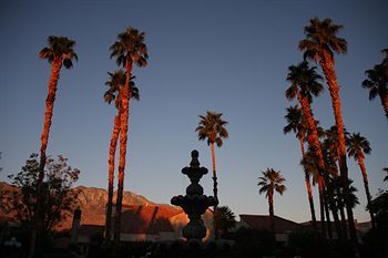 The Oasis