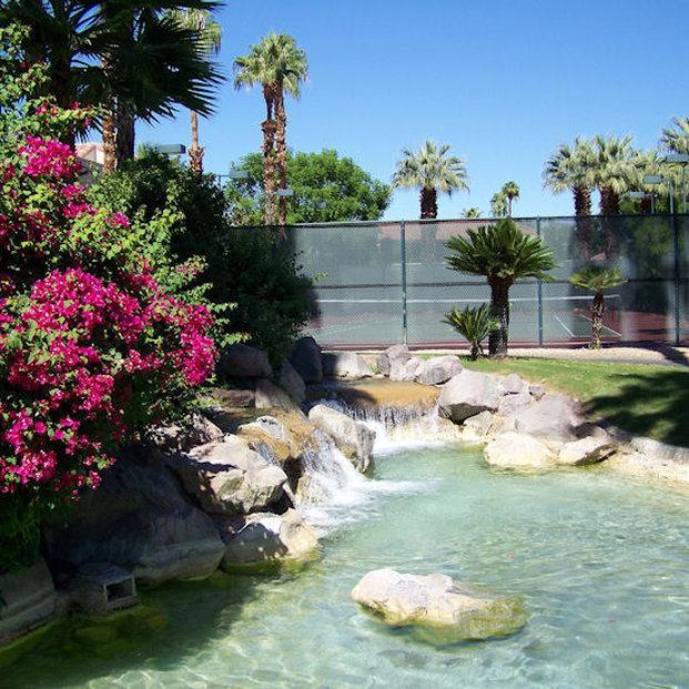 The Oasis
