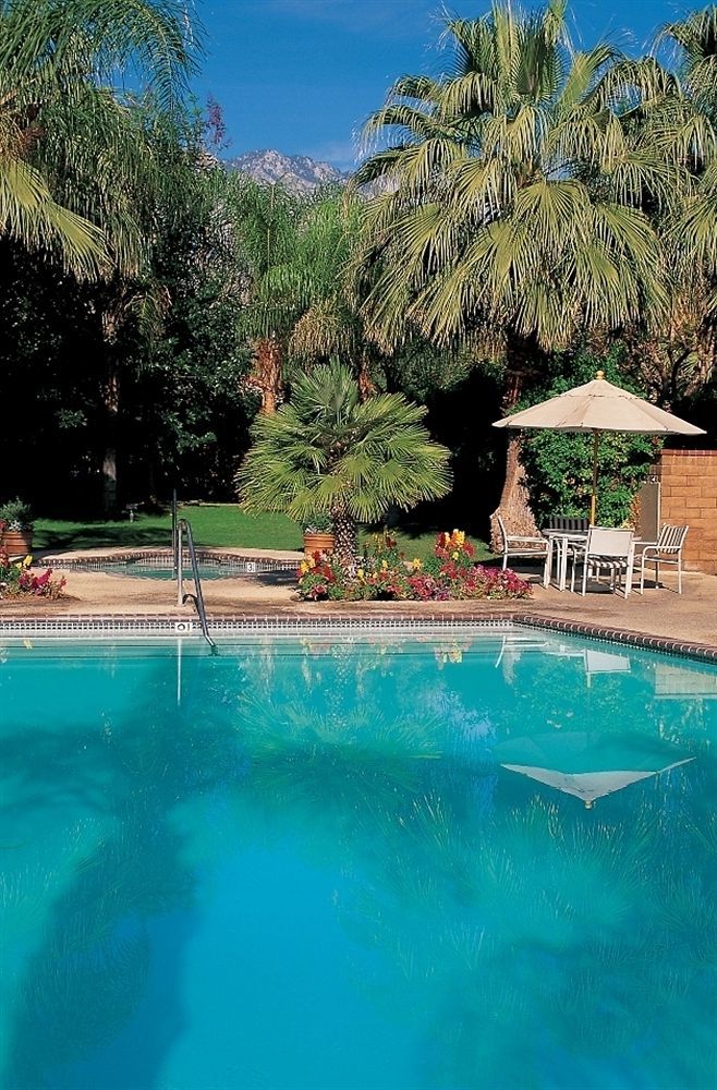 The Oasis