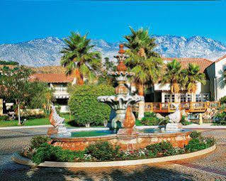 The Oasis Resort