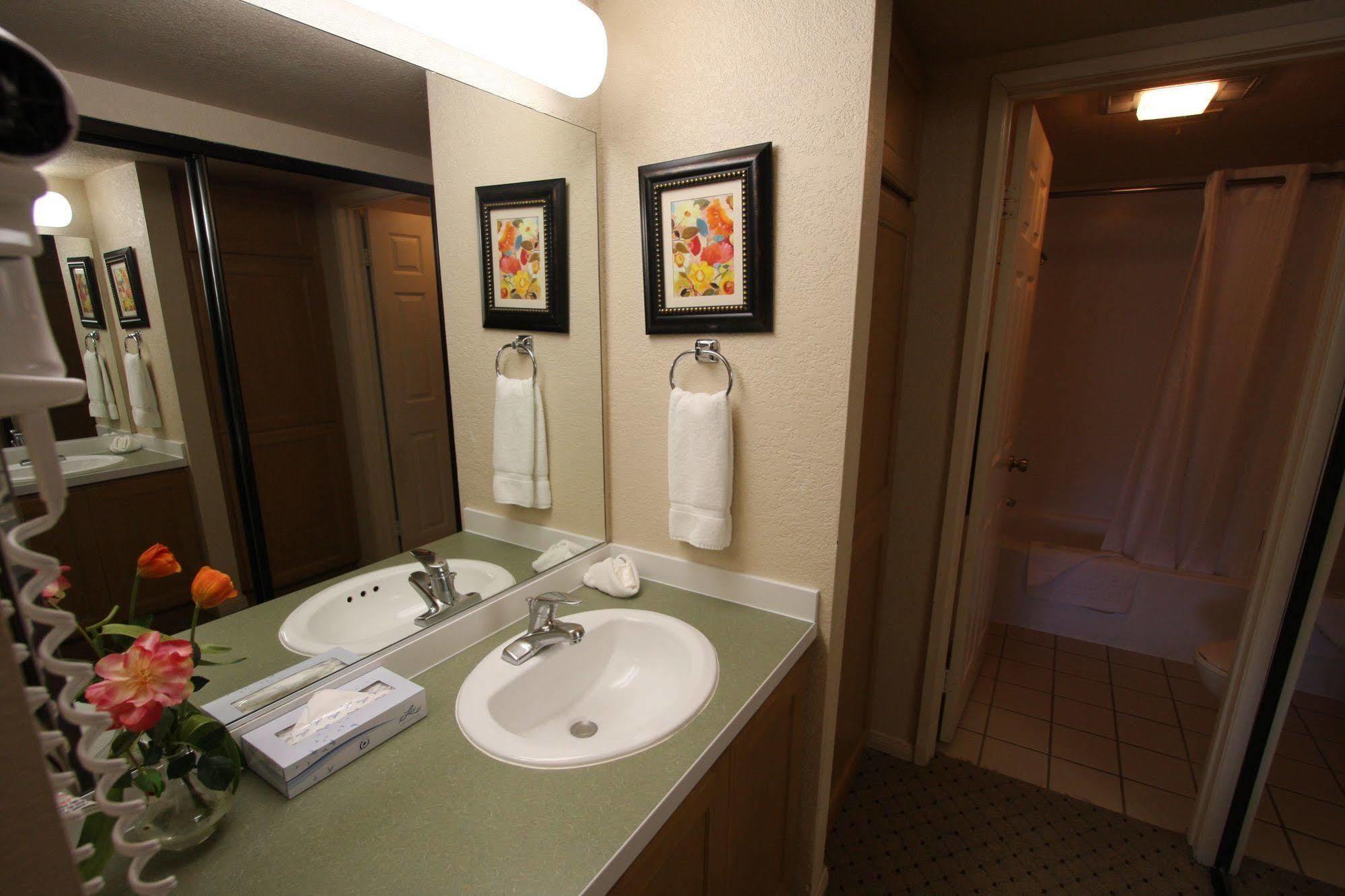 The Oasis Resort 4*