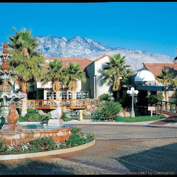 The Oasis 4*