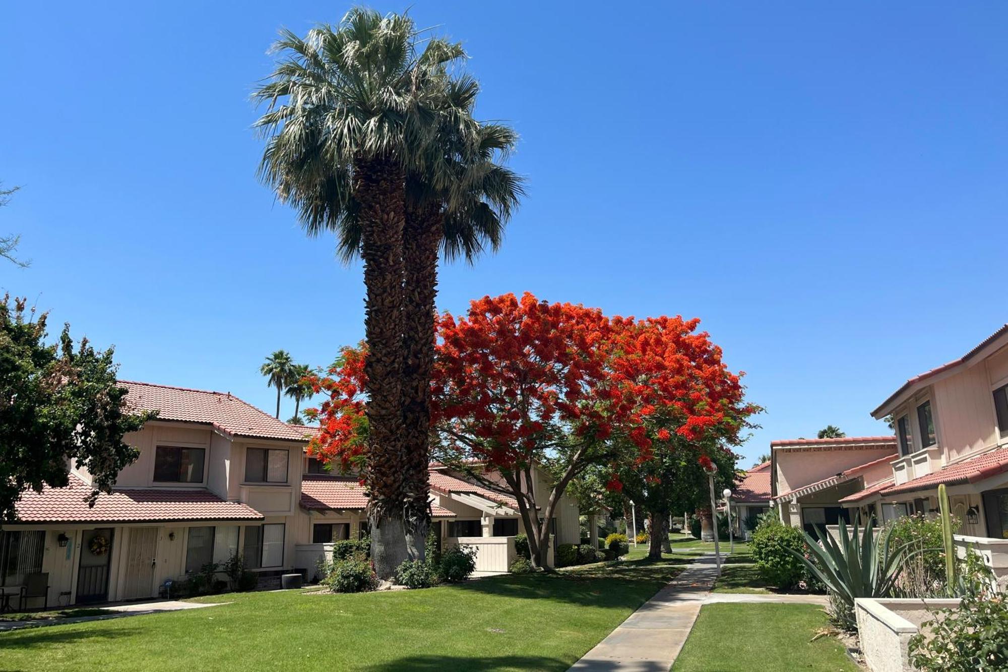 Royalty #4 - Permit #7022 Palm Springs