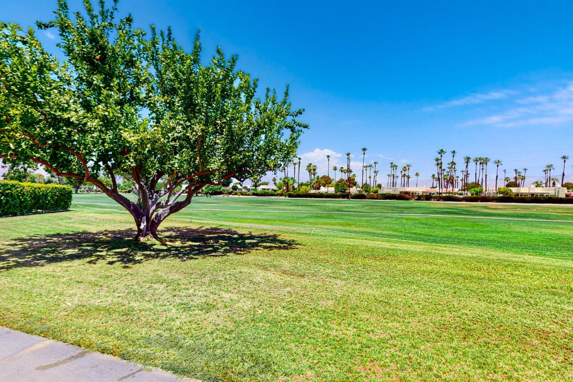 Royalty #4 - Permit #7022 Palm Springs