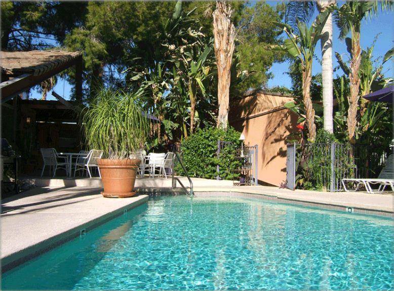 Resort Triangle Clothing Optional For Men 3*