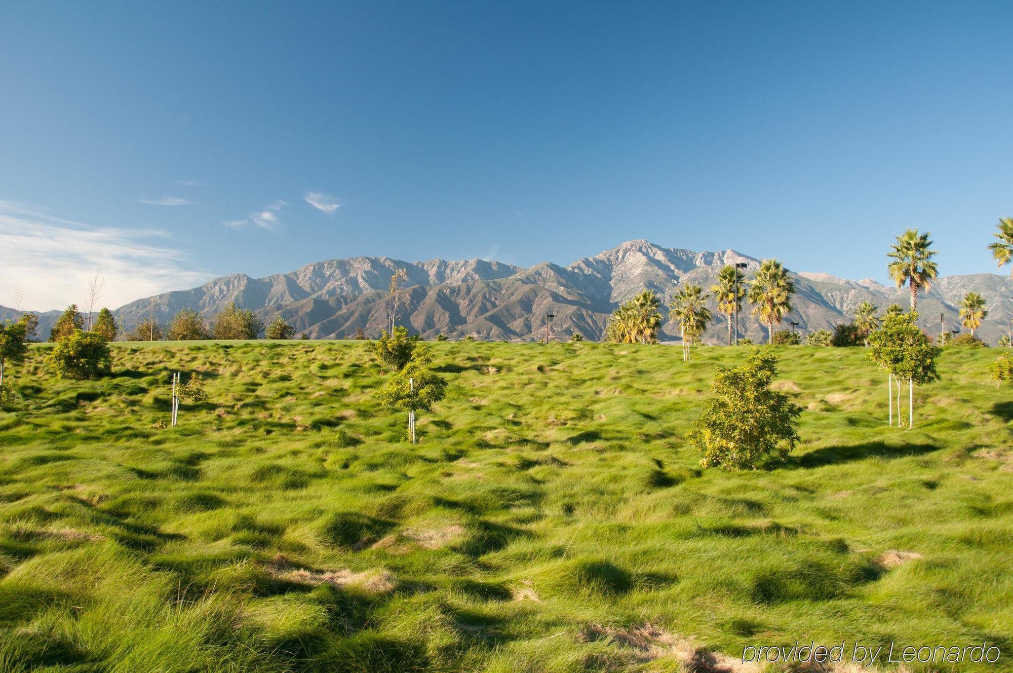 Western At Palm Springs