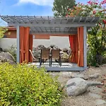 Rockin Palms A New Palm Springs Oasis