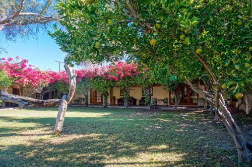 Hotel Casa Cody