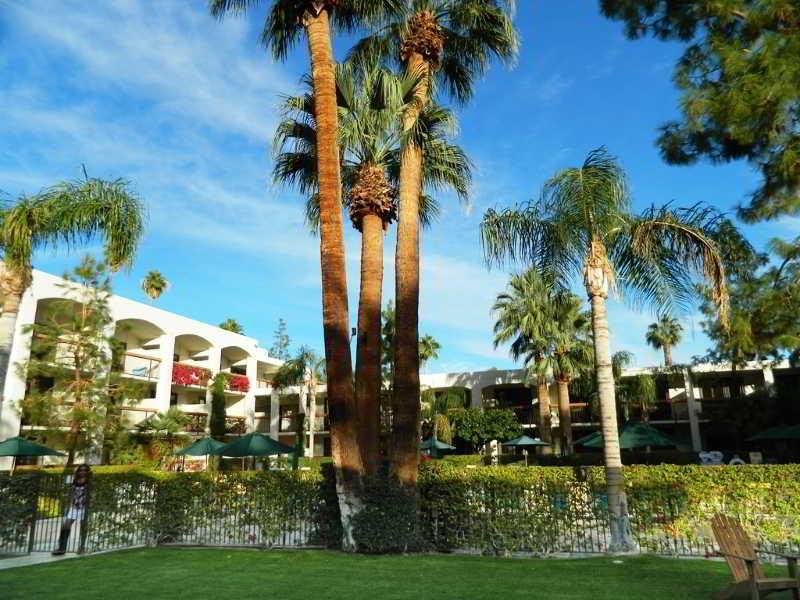 Hotel Palm Mountain &