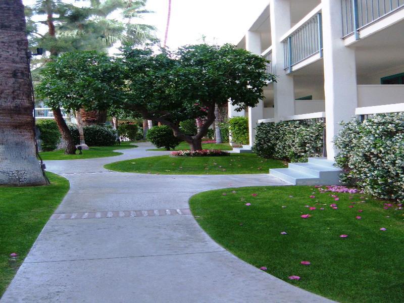 Hotel Palm Mountain & Palm Springs