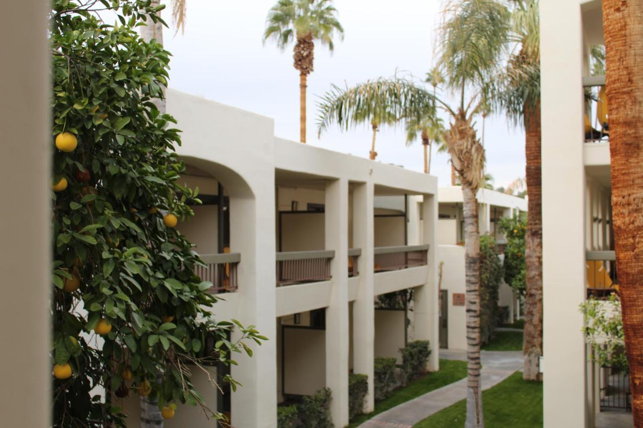 Hotel Palm Mountain &