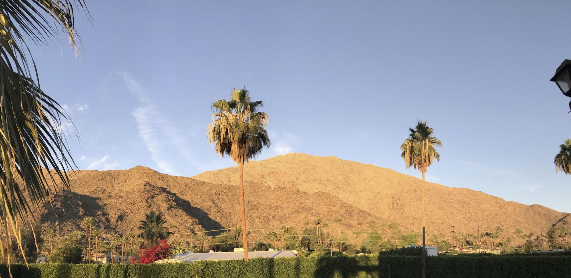 Delos Reyes 2* Palm Springs