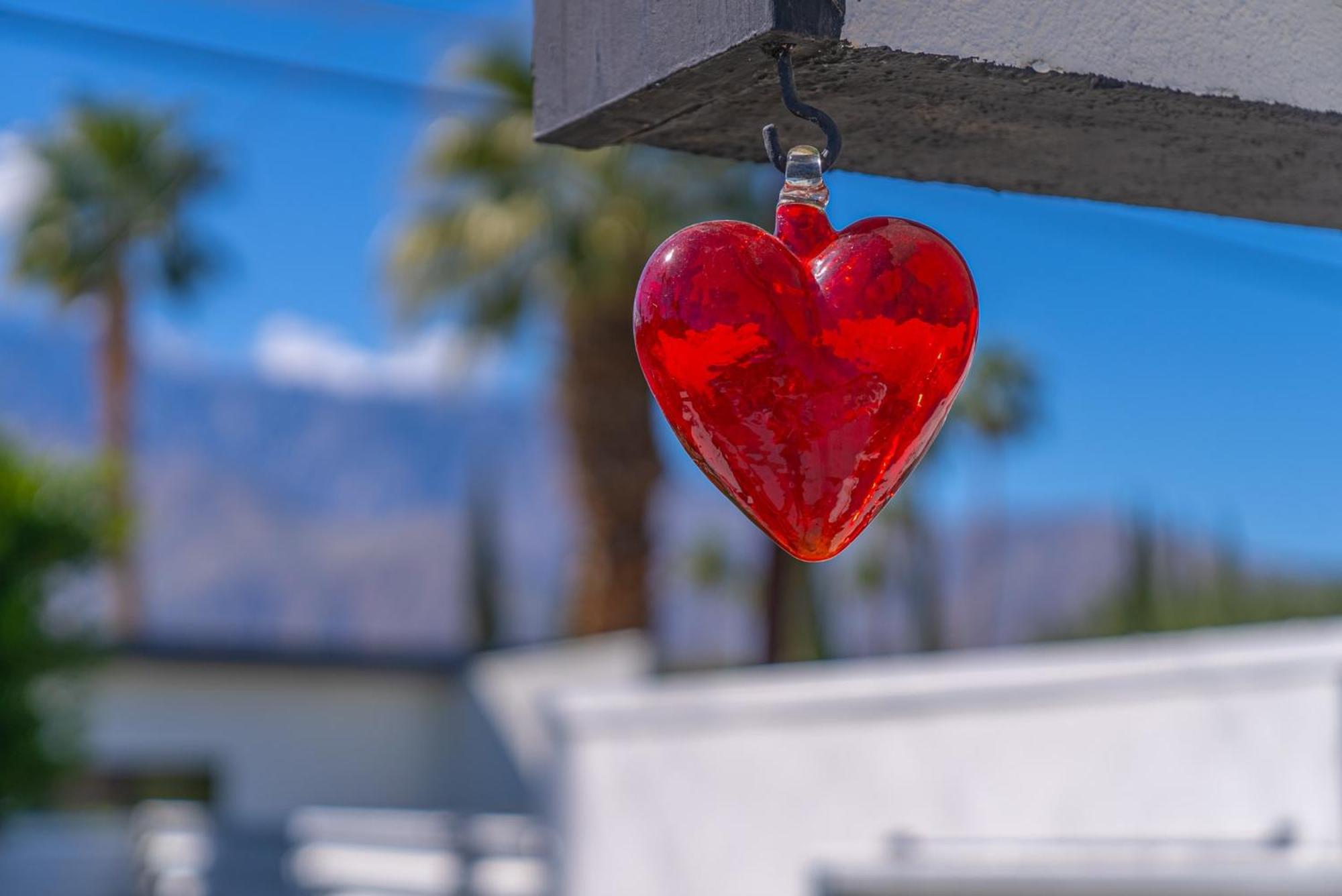 The Portrait House A Mid Century Hangout Holiday home Palm Springs