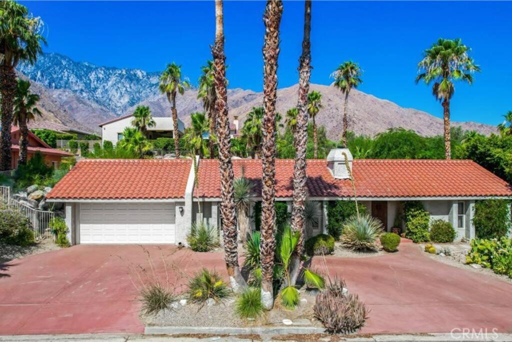 Rockin Palms A New Oasis *
