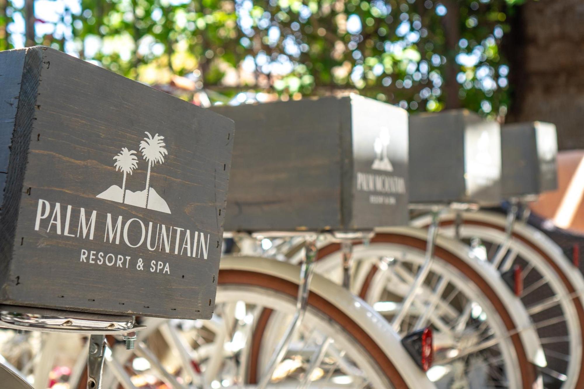 Hotel Palm Mountain &