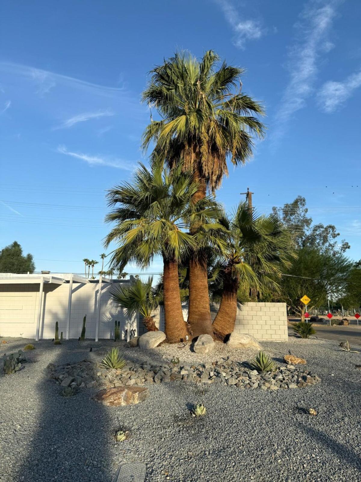 Aerhaus - Mid-century Oasis * Palm Springs