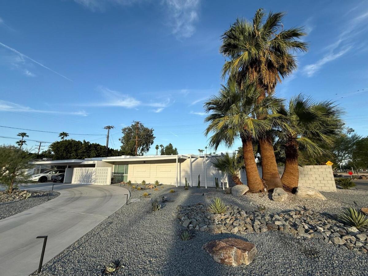 Aerhaus - Mid-century Oasis Villa