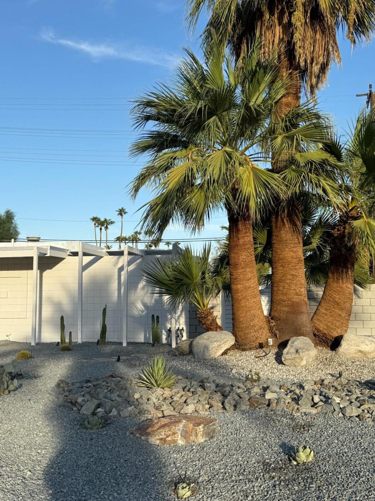 Villa Aerhaus - Mid-century Oasis Palm Springs