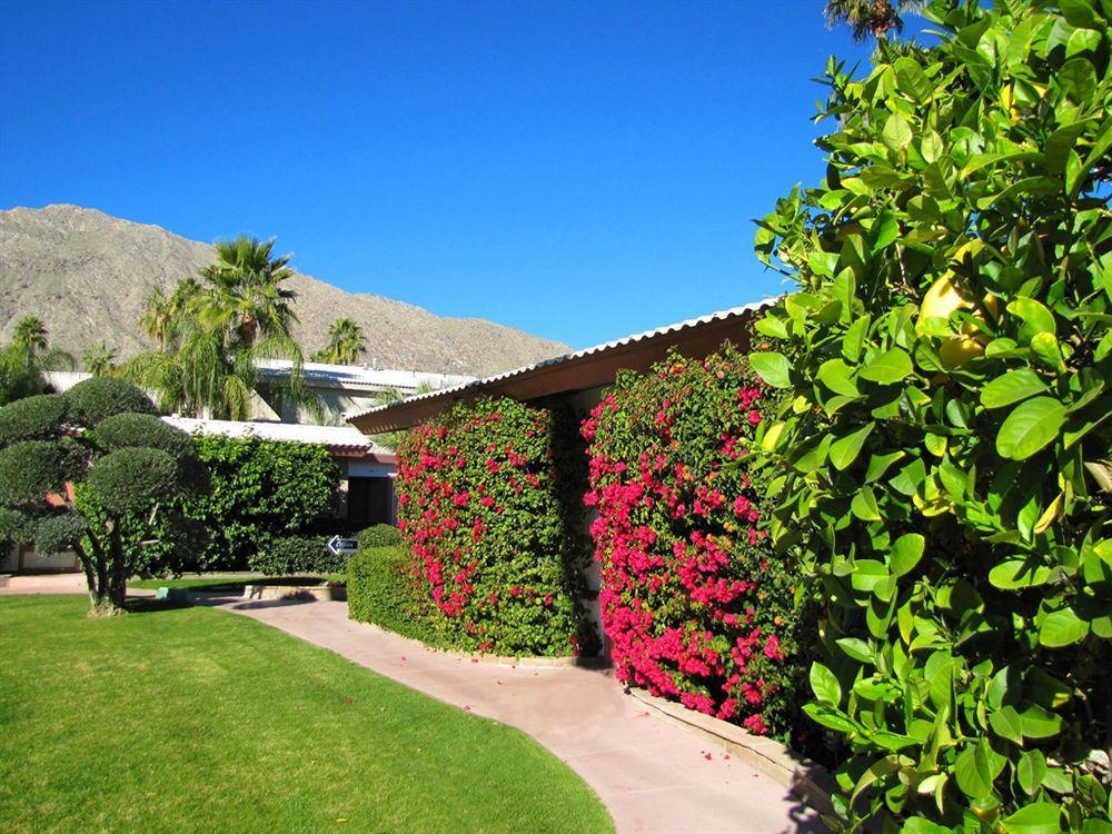 A Place In The Sun: Adults-only Midcentury Boutique With Heated Pool 4* Palm Springs