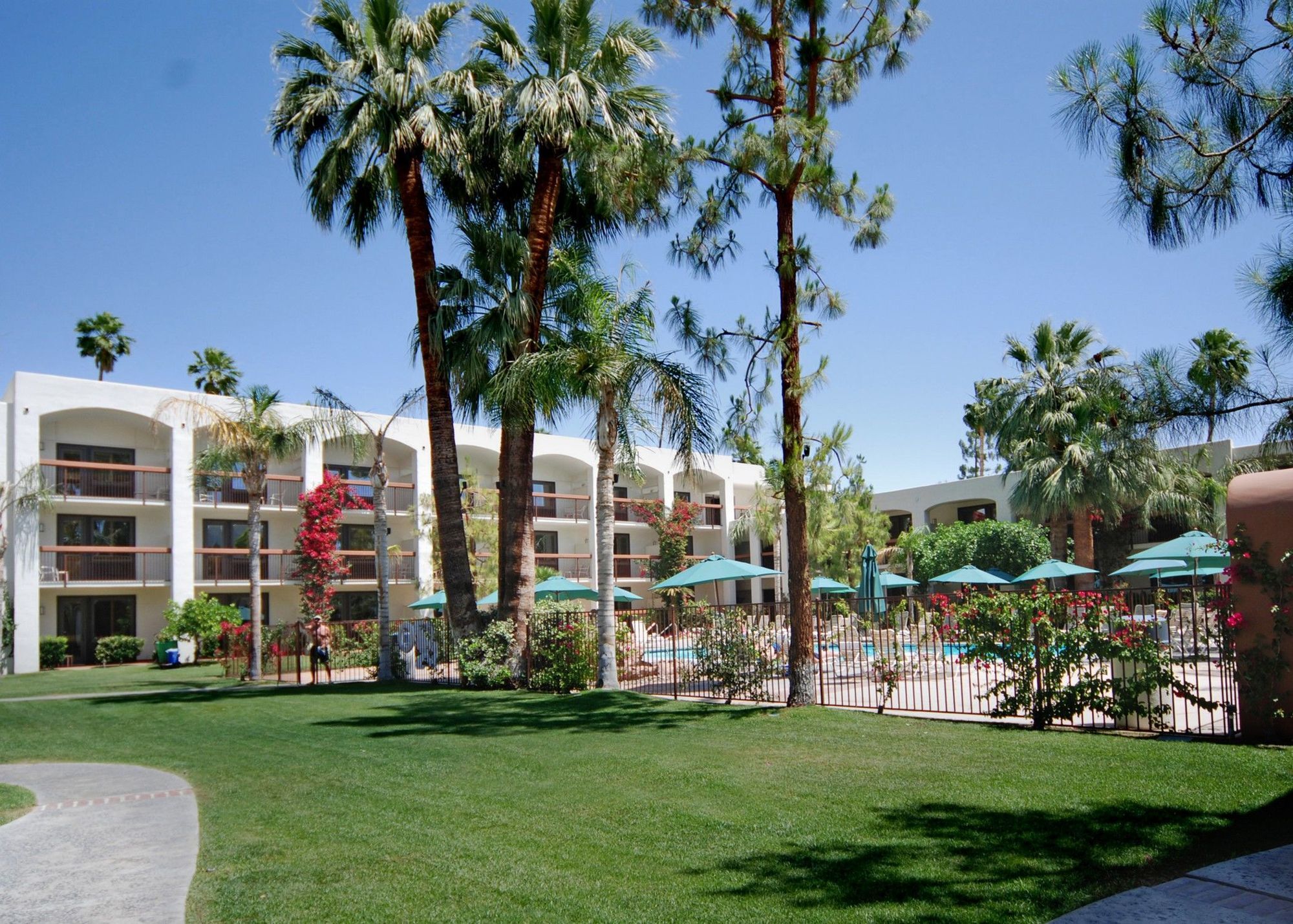 Palm Mountain & Palm Springs