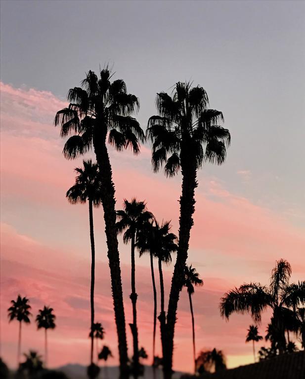 Delos Reyes 2* Palm Springs