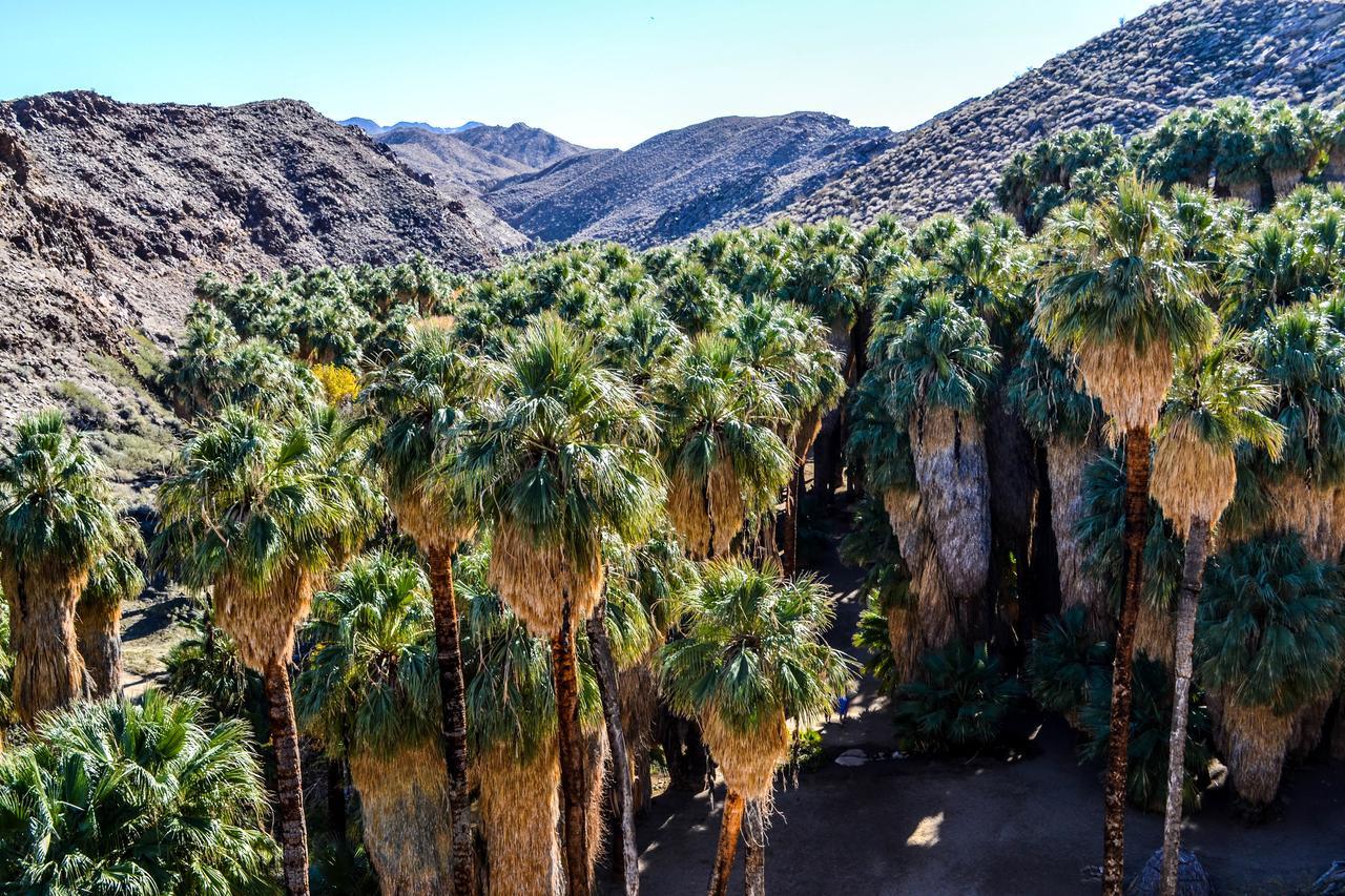 Thornhill Villa Palm Springs