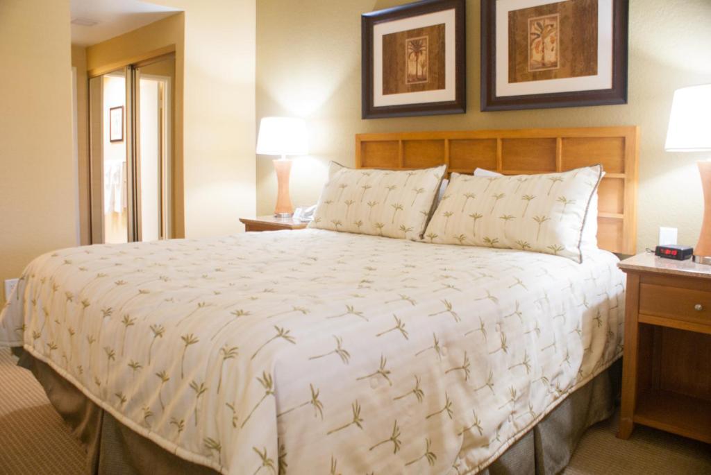 Resort Desert Isle 3*