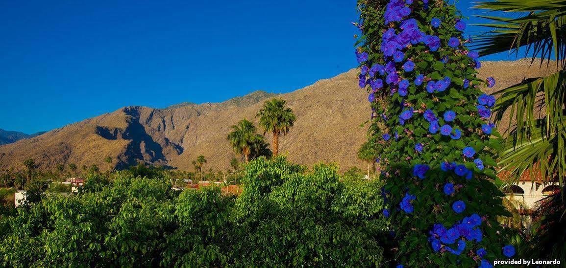 Western Brisas Hotel Palm Springs