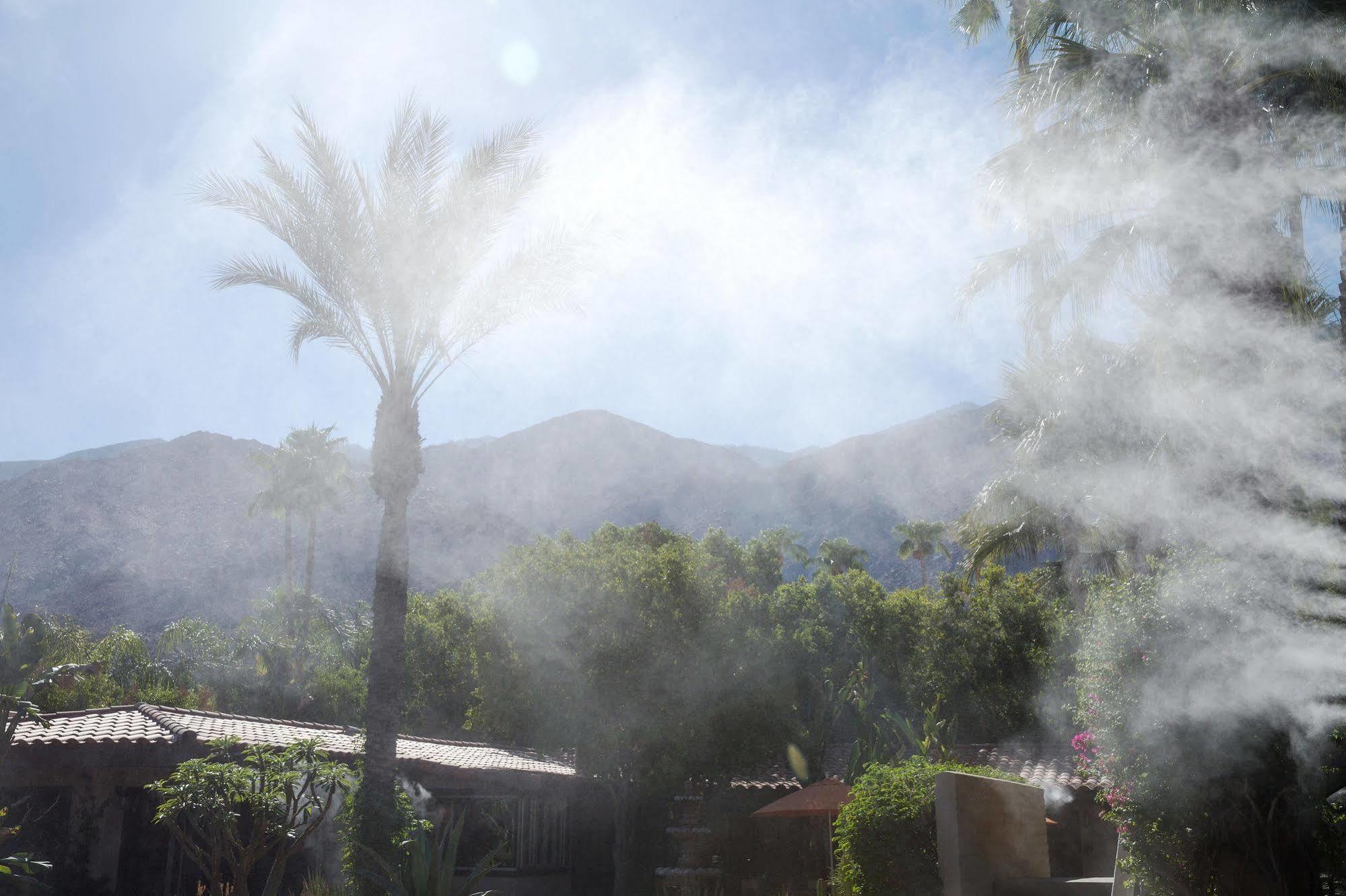 Santiago - Premier Gay Men's Resort Palm Springs