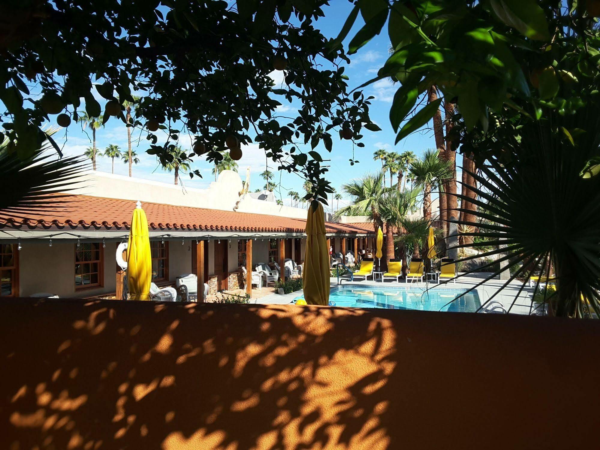 Hotel Dive 4*