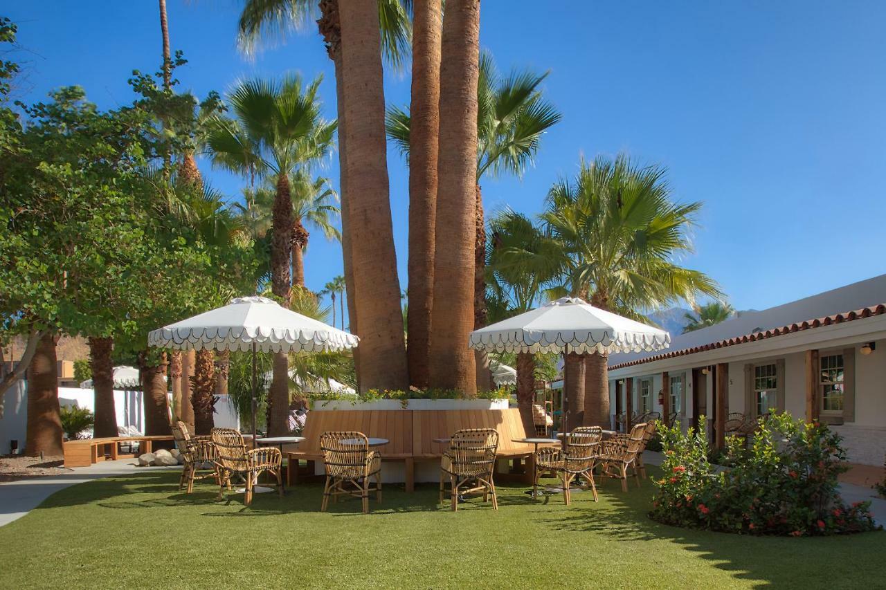 Hotel Dive Palm Springs