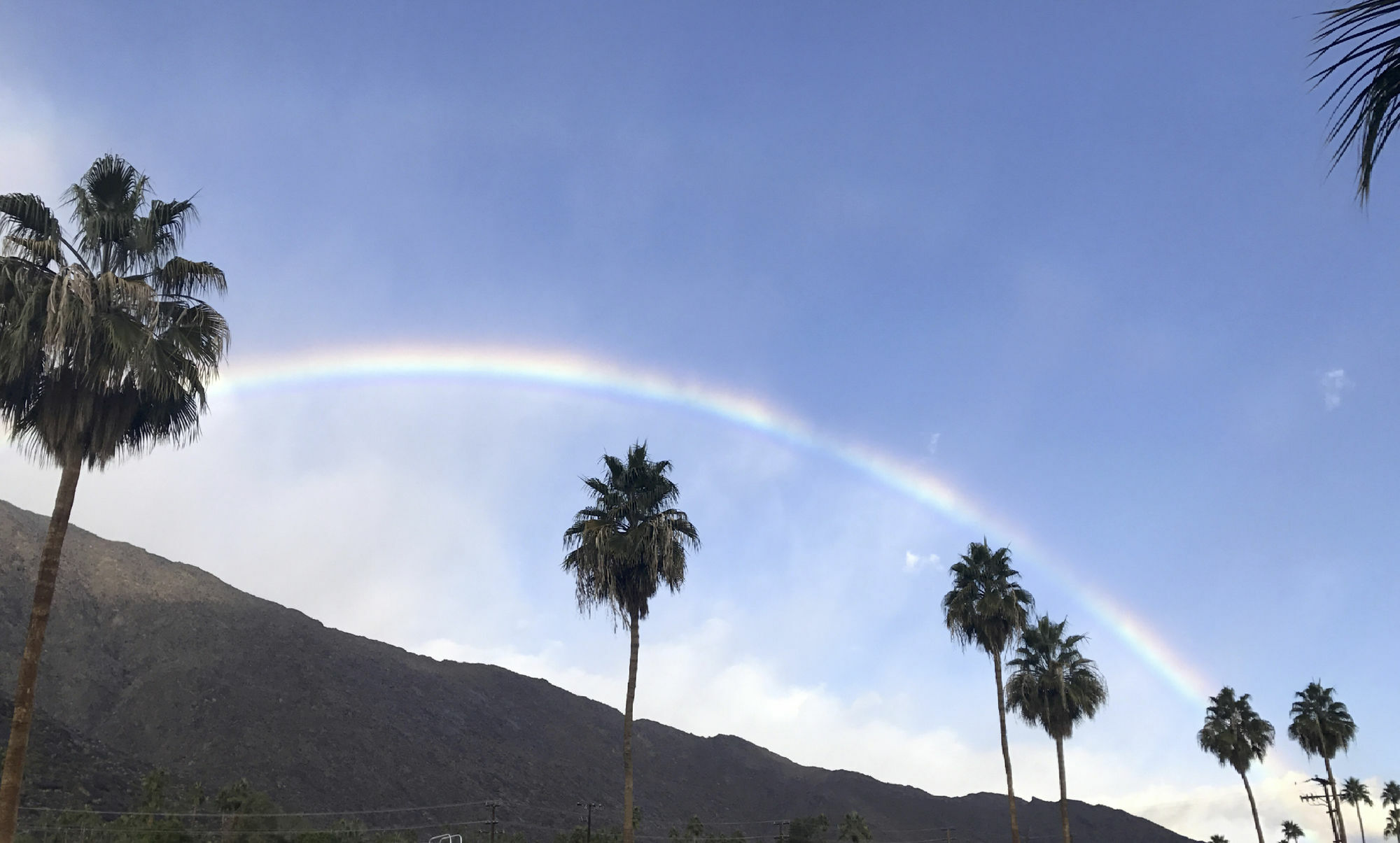 Delos Reyes 2* Palm Springs