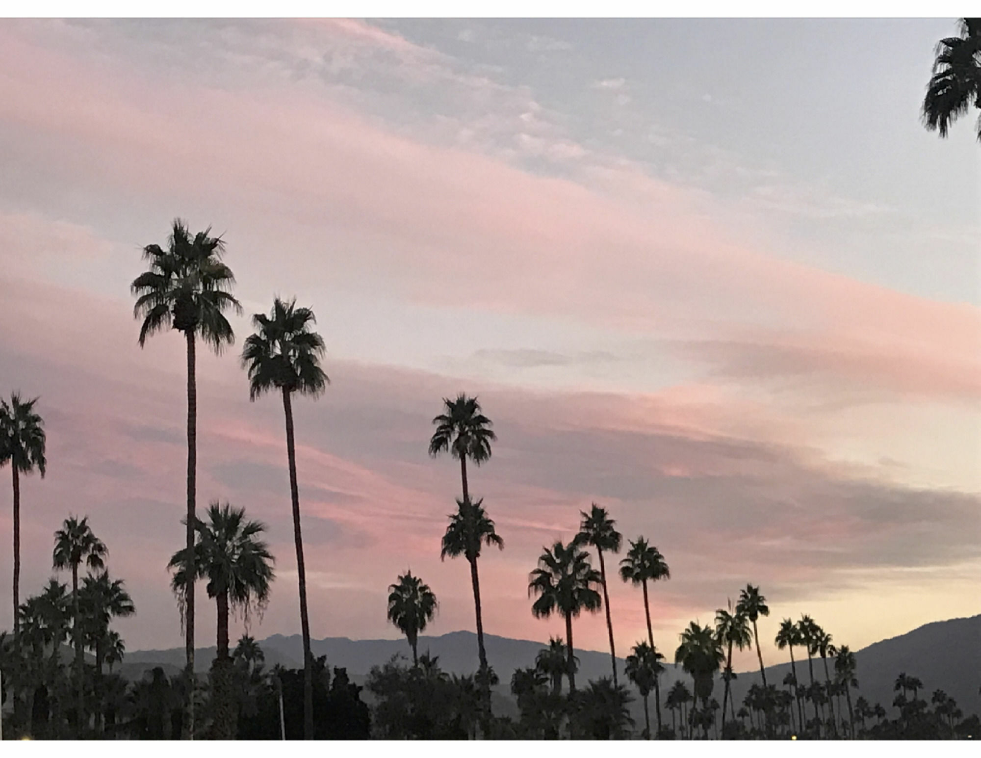 Delos Reyes 2* Palm Springs