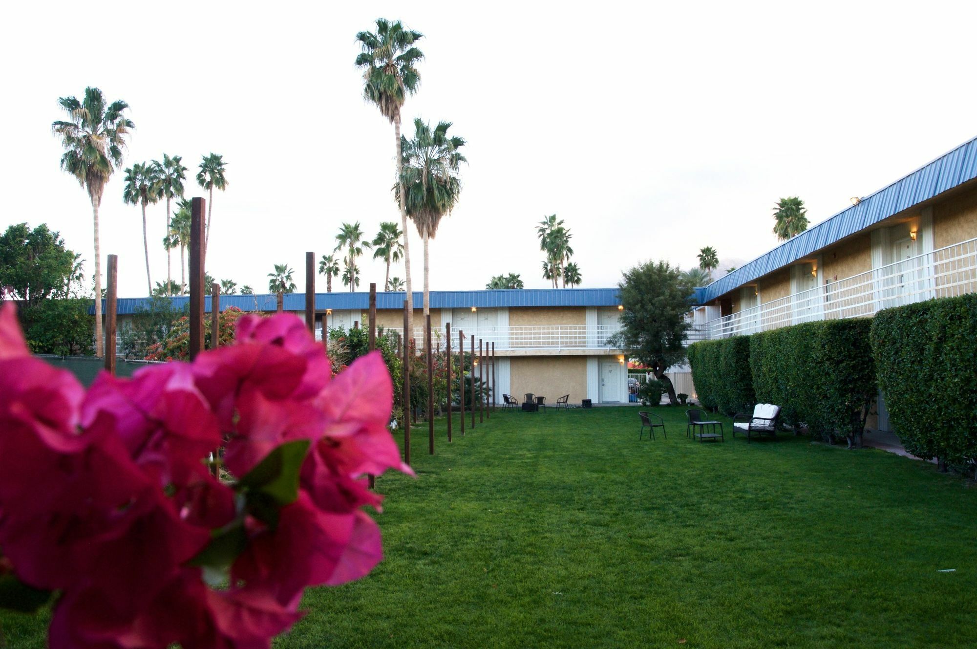 Delos Reyes Palm Springs