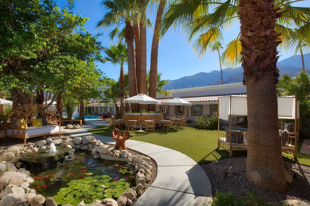 Dive 4* Palm Springs