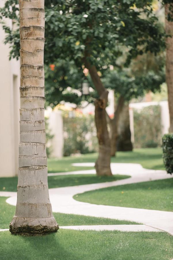 Hotel Palm Mountain &