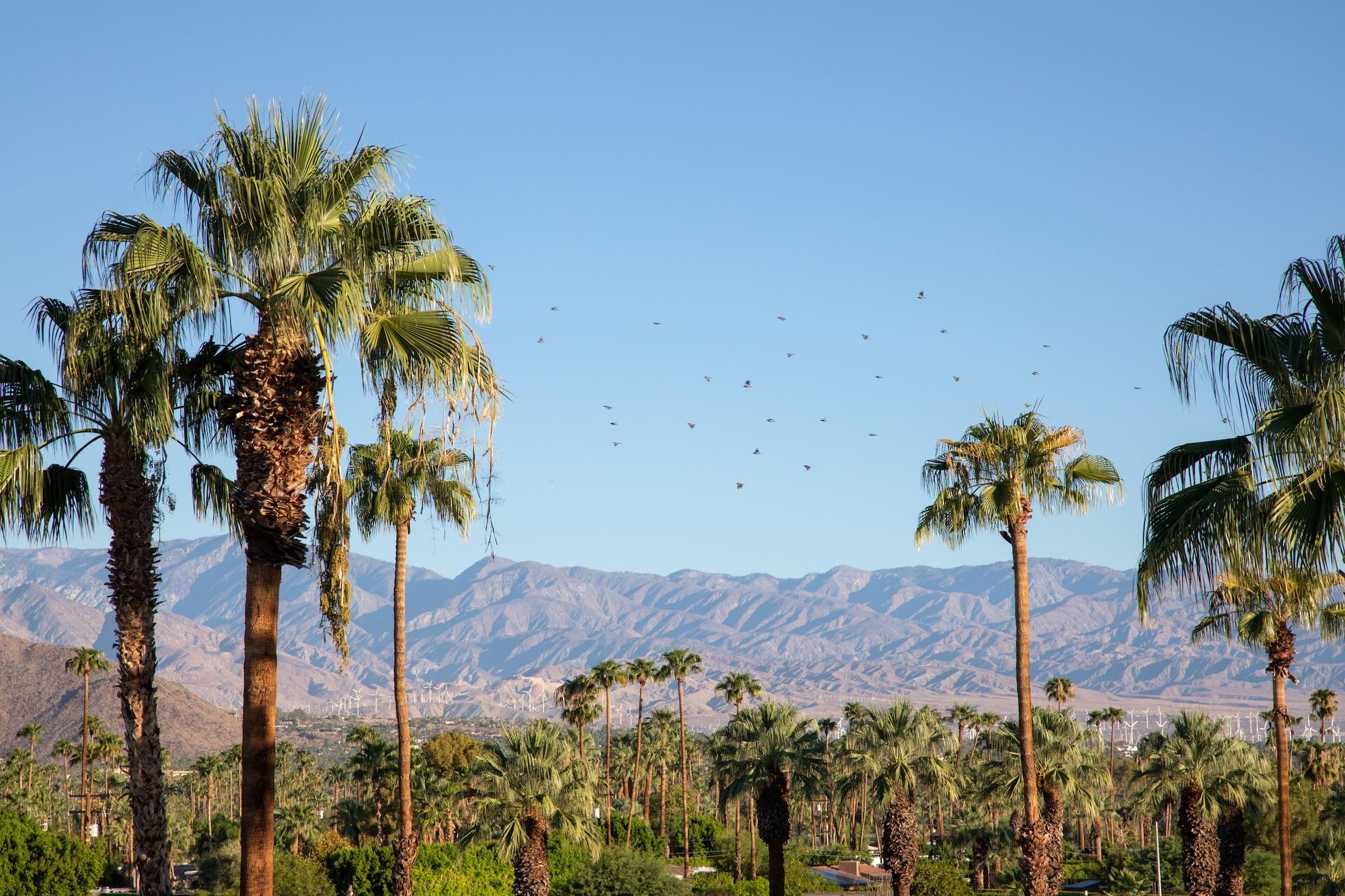 The Saguaro Hotel 4*