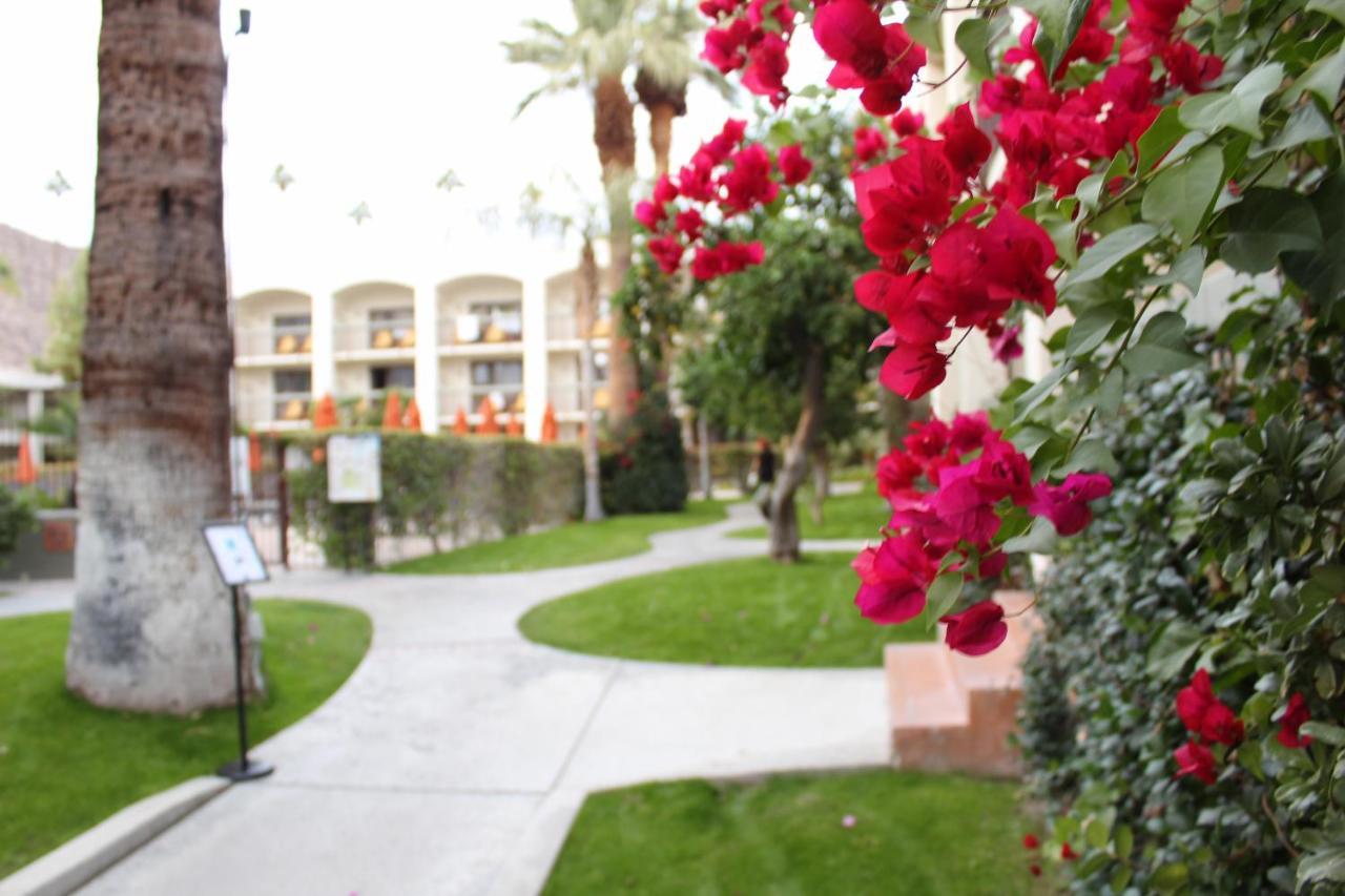 Palm Mountain & Hotel Palm Springs
