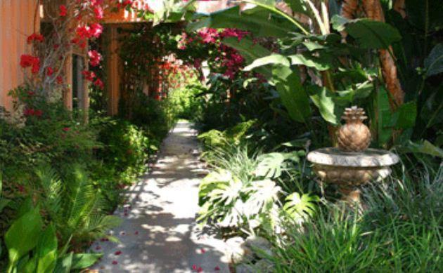 Triangle Clothing Optional For Men Resort Palm Springs