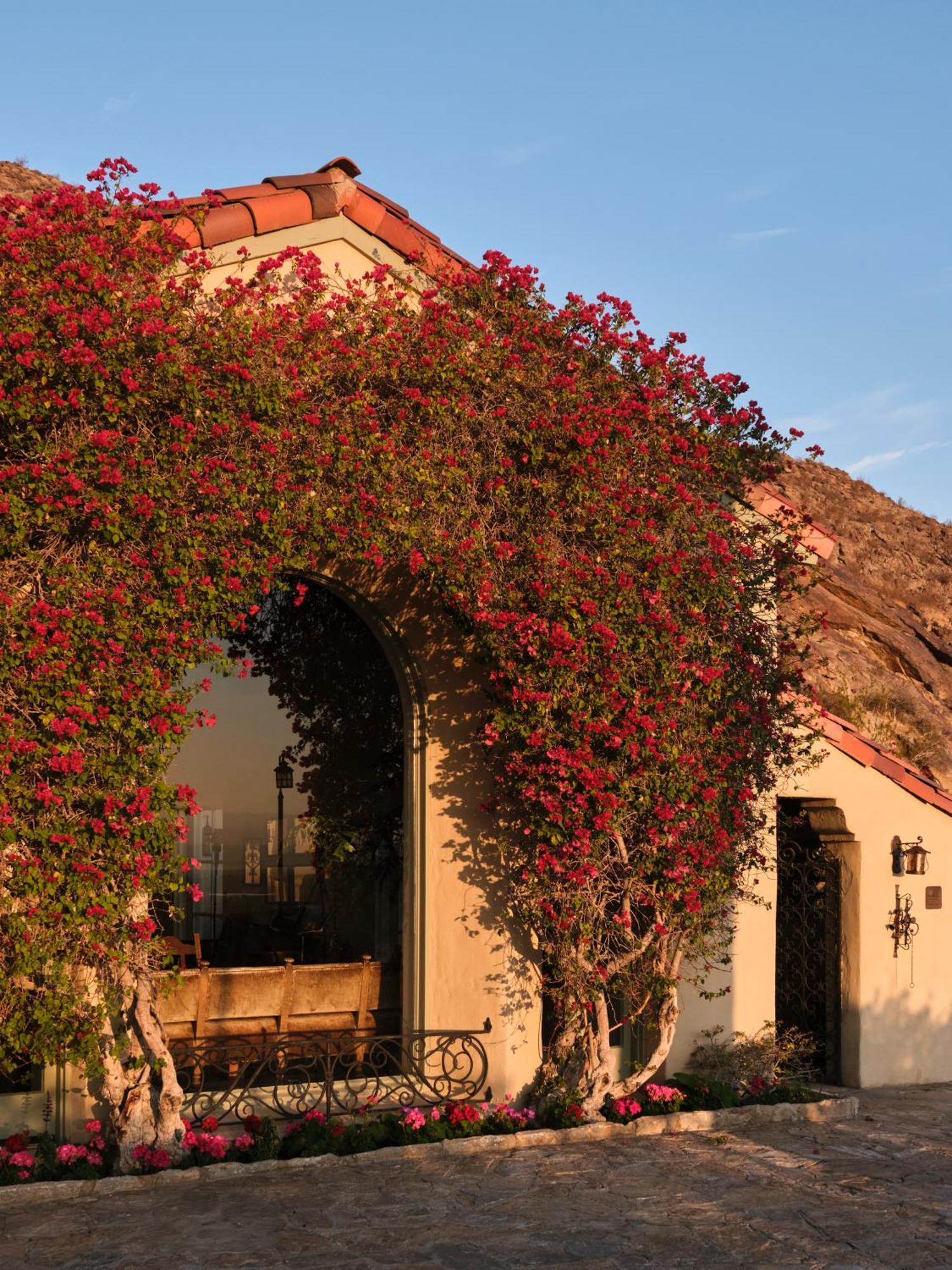 The Willows Palm Springs
