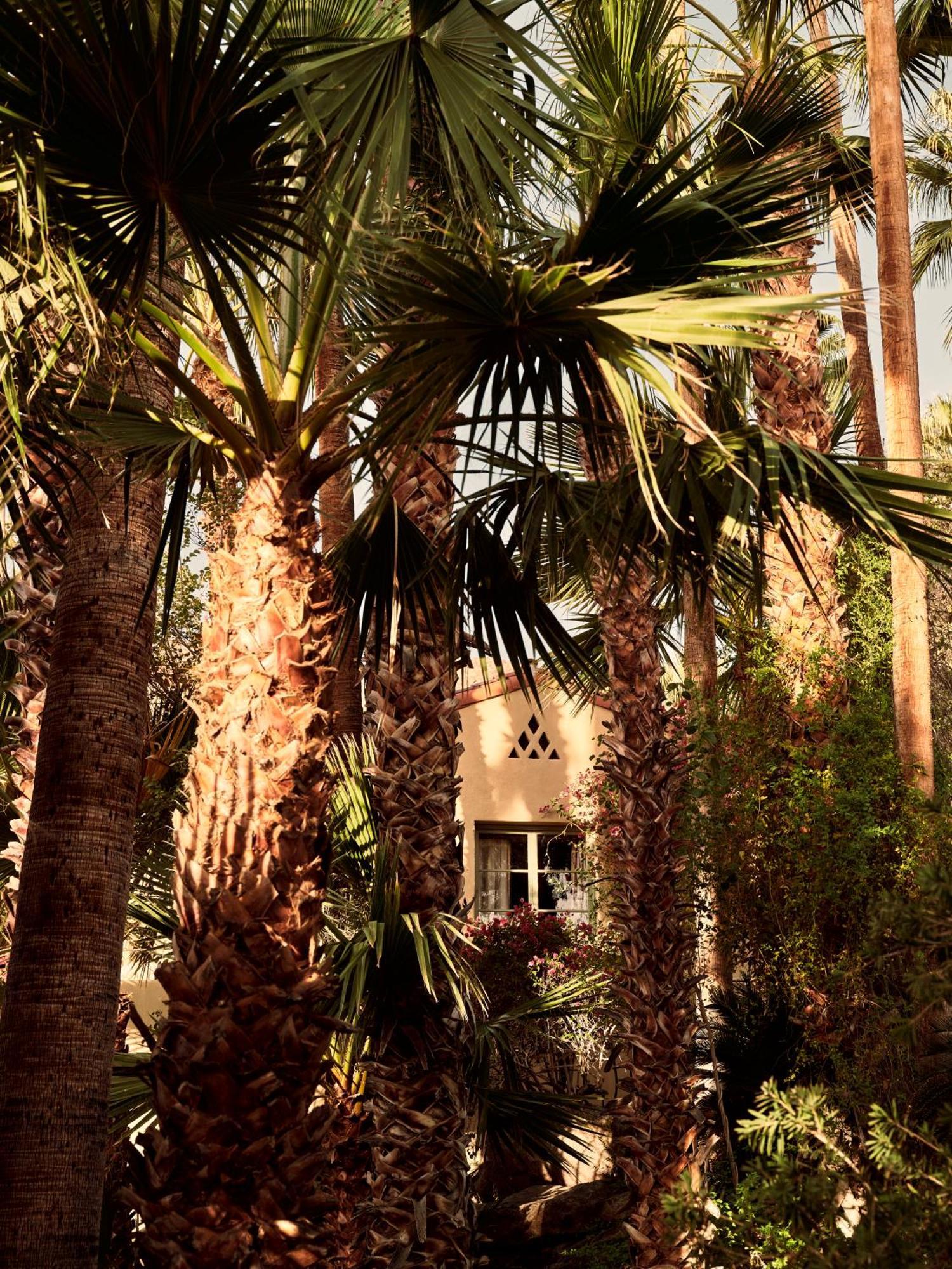 Hotel The Willows 4*