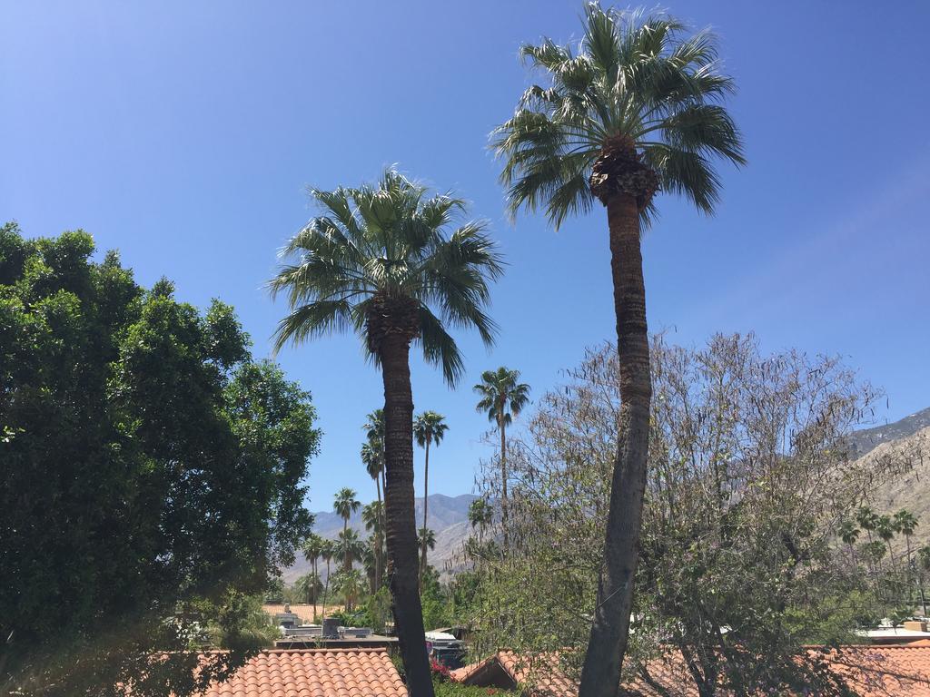 Warm Sands Villa- A Gay Men's Clothing Optional 4* Palm Springs