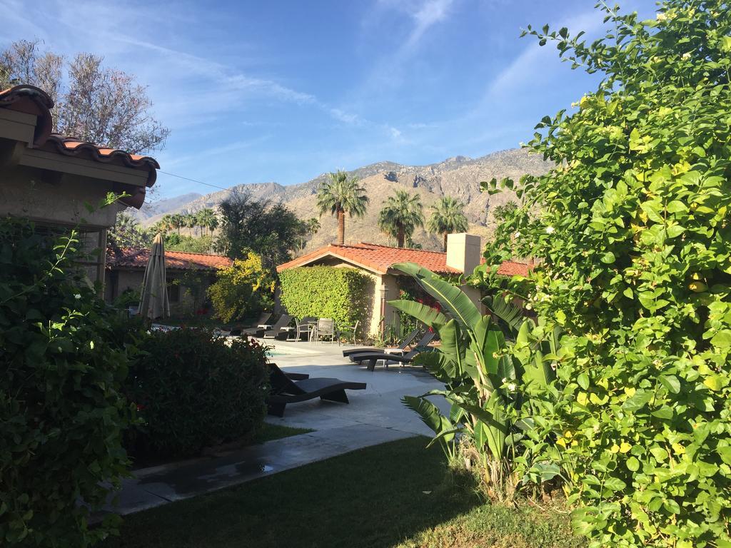 Warm Sands Villa- A Gay Men's Clothing Optional 4* Palm Springs