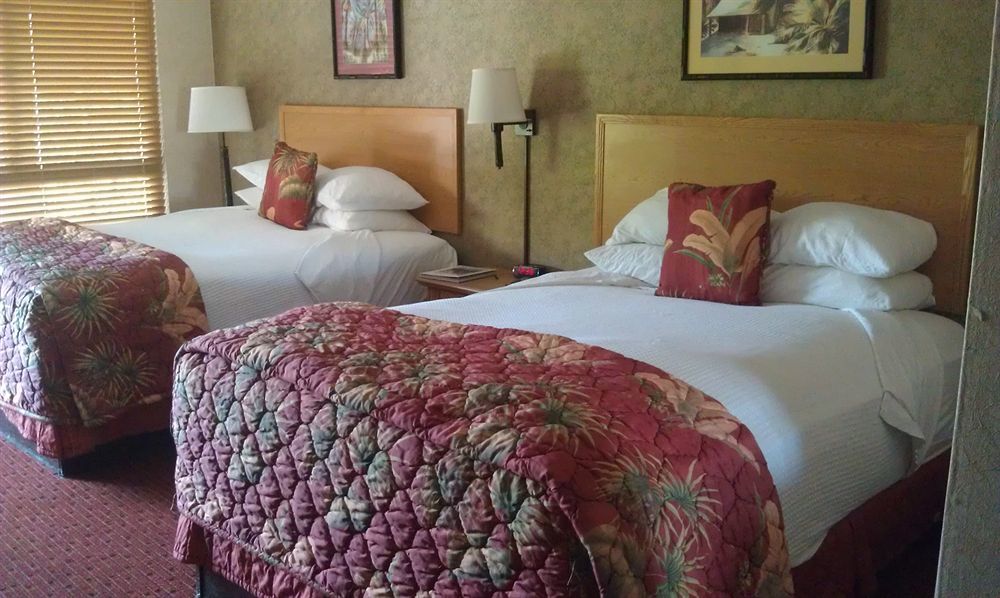 Hotel Caliente Tropics